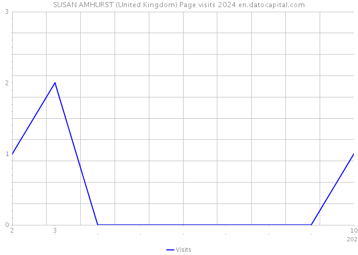 SUSAN AMHURST (United Kingdom) Page visits 2024 