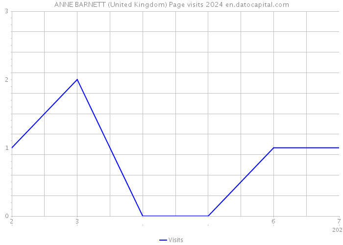 ANNE BARNETT (United Kingdom) Page visits 2024 