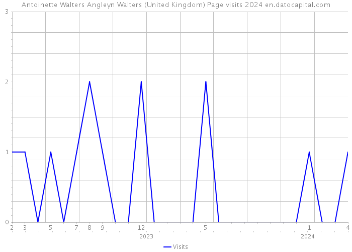 Antoinette Walters Angleyn Walters (United Kingdom) Page visits 2024 