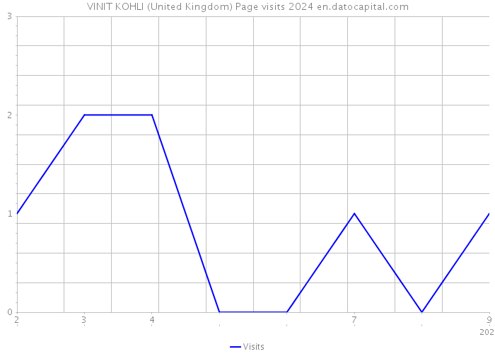 VINIT KOHLI (United Kingdom) Page visits 2024 