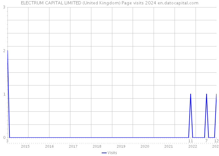 ELECTRUM CAPITAL LIMITED (United Kingdom) Page visits 2024 