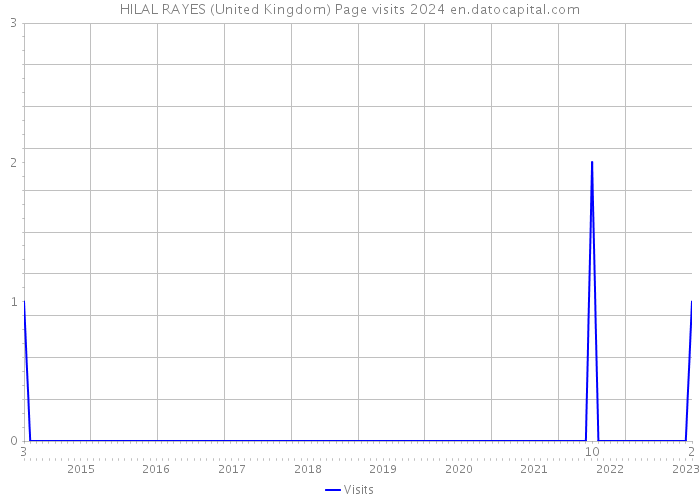 HILAL RAYES (United Kingdom) Page visits 2024 