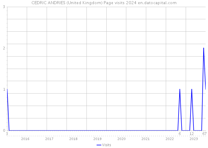CEDRIC ANDRIES (United Kingdom) Page visits 2024 