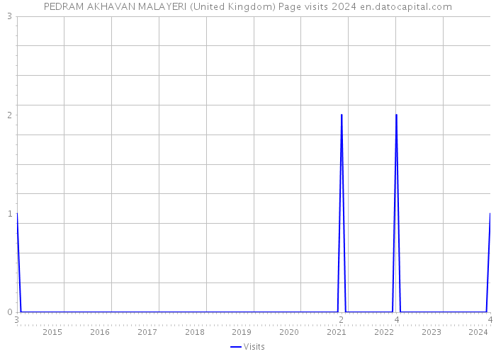 PEDRAM AKHAVAN MALAYERI (United Kingdom) Page visits 2024 