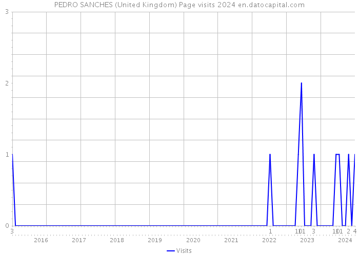 PEDRO SANCHES (United Kingdom) Page visits 2024 
