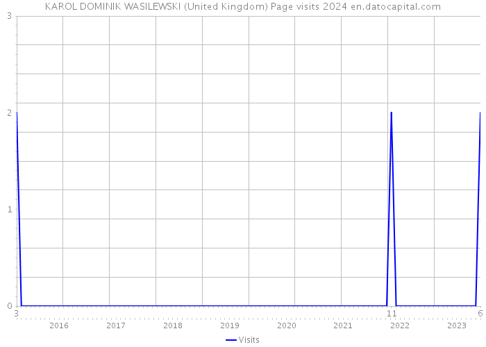 KAROL DOMINIK WASILEWSKI (United Kingdom) Page visits 2024 