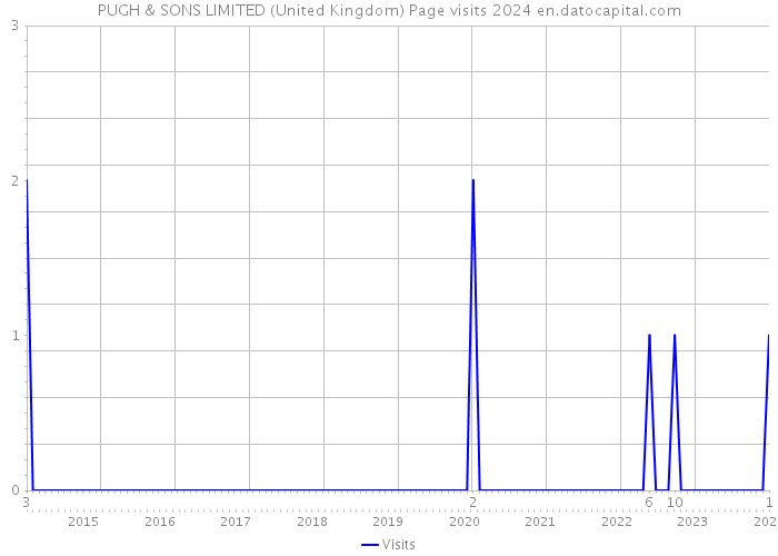 PUGH & SONS LIMITED (United Kingdom) Page visits 2024 