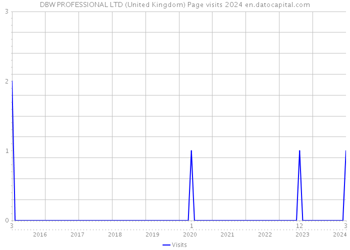 DBW PROFESSIONAL LTD (United Kingdom) Page visits 2024 