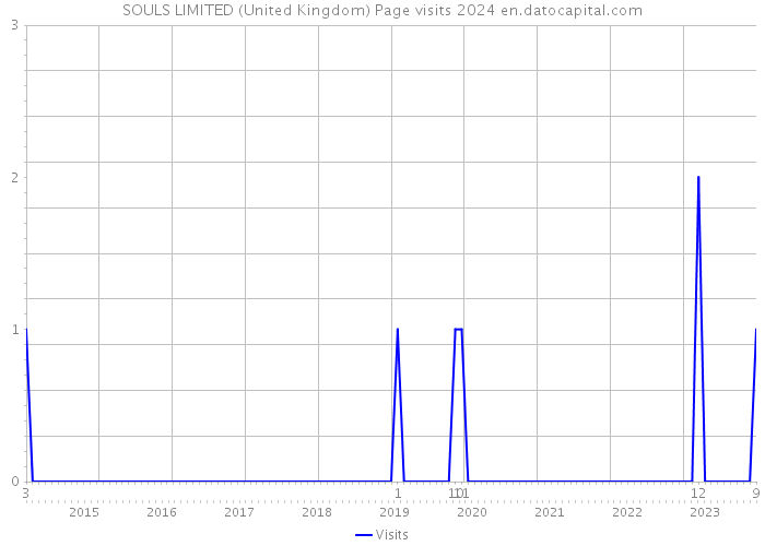 SOULS LIMITED (United Kingdom) Page visits 2024 