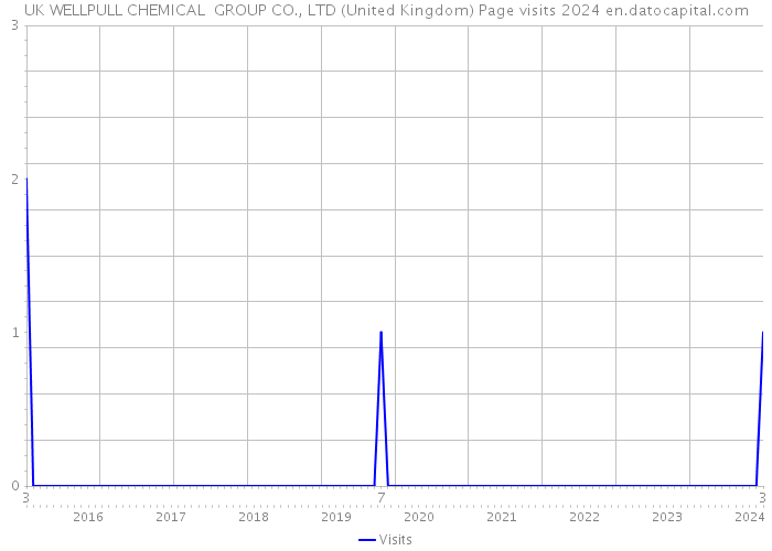 UK WELLPULL CHEMICAL GROUP CO., LTD (United Kingdom) Page visits 2024 