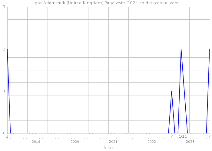 Igor Adamchuk (United Kingdom) Page visits 2024 
