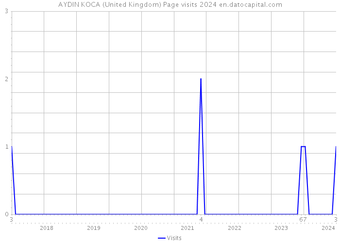 AYDIN KOCA (United Kingdom) Page visits 2024 