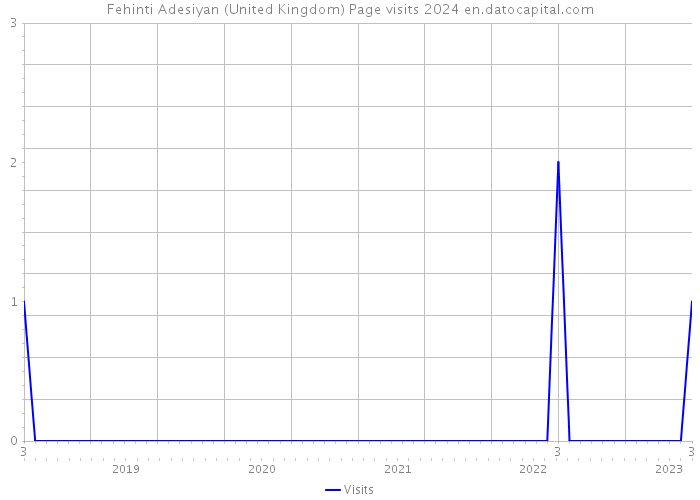 Fehinti Adesiyan (United Kingdom) Page visits 2024 
