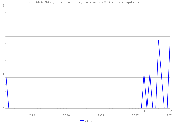ROXANA RIAZ (United Kingdom) Page visits 2024 