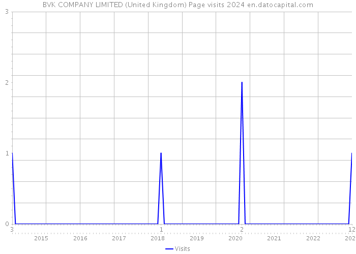 BVK COMPANY LIMITED (United Kingdom) Page visits 2024 