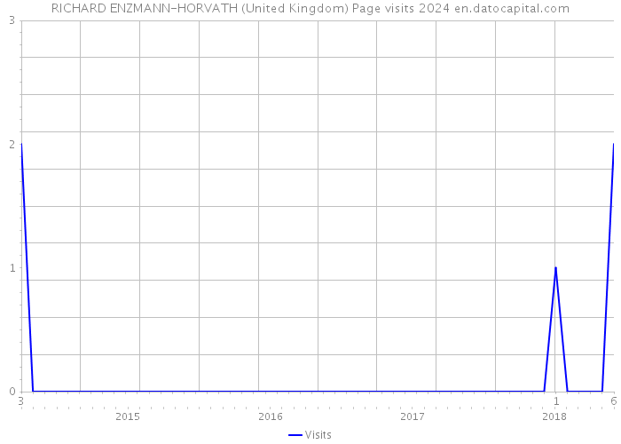 RICHARD ENZMANN-HORVATH (United Kingdom) Page visits 2024 