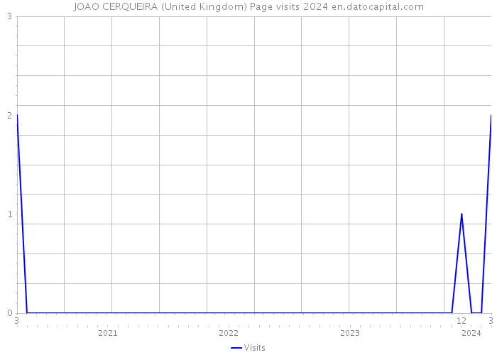 JOAO CERQUEIRA (United Kingdom) Page visits 2024 