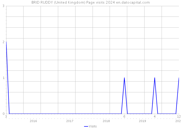 BRID RUDDY (United Kingdom) Page visits 2024 