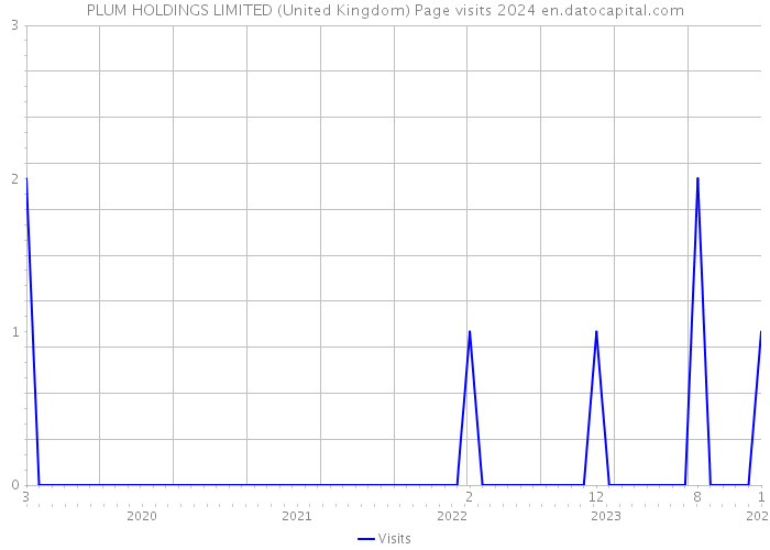 PLUM HOLDINGS LIMITED (United Kingdom) Page visits 2024 