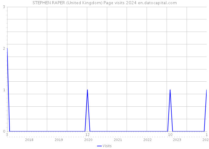 STEPHEN RAPER (United Kingdom) Page visits 2024 
