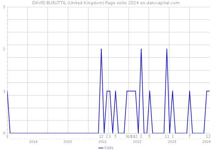 DAVID BUSUTTIL (United Kingdom) Page visits 2024 