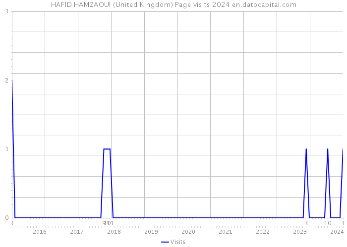 HAFID HAMZAOUI (United Kingdom) Page visits 2024 
