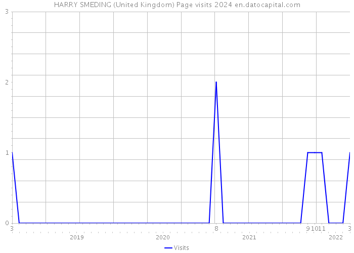 HARRY SMEDING (United Kingdom) Page visits 2024 