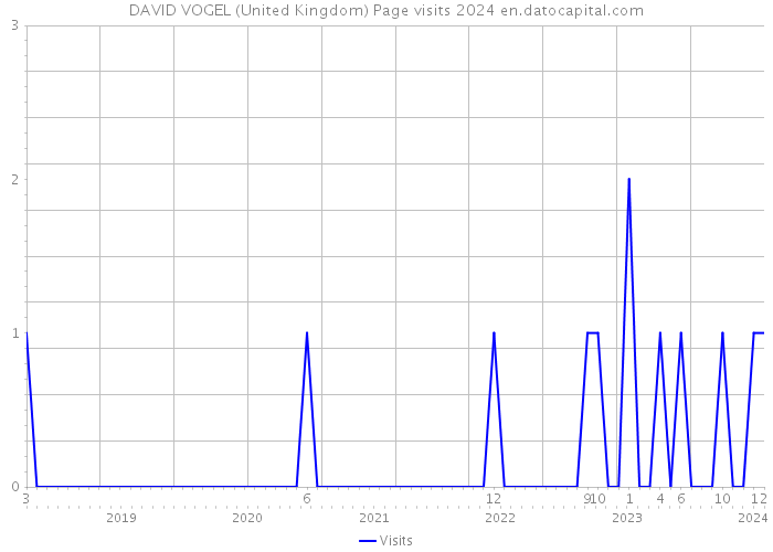 DAVID VOGEL (United Kingdom) Page visits 2024 
