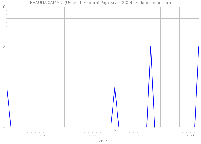BHAUNA SAMANI (United Kingdom) Page visits 2024 