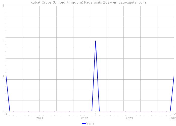 Rubat Croos (United Kingdom) Page visits 2024 