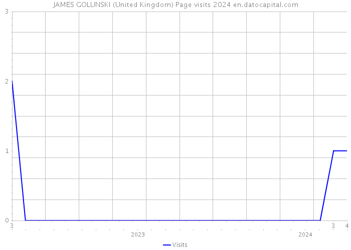 JAMES GOLUNSKI (United Kingdom) Page visits 2024 