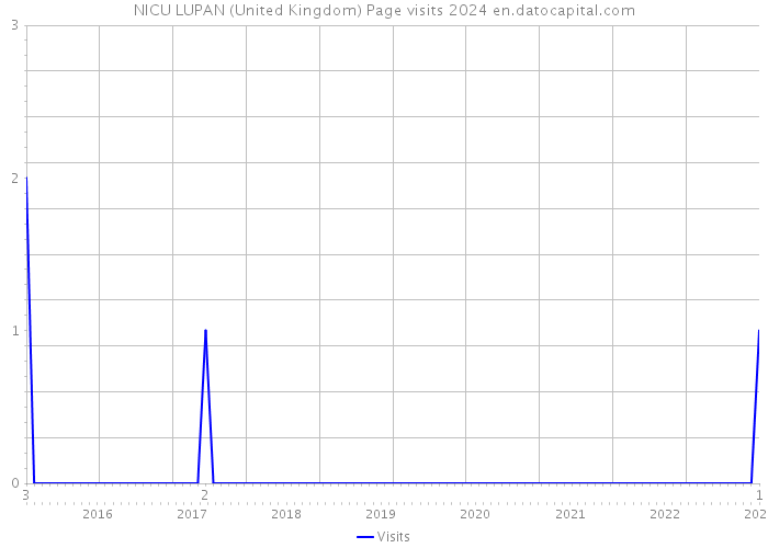 NICU LUPAN (United Kingdom) Page visits 2024 