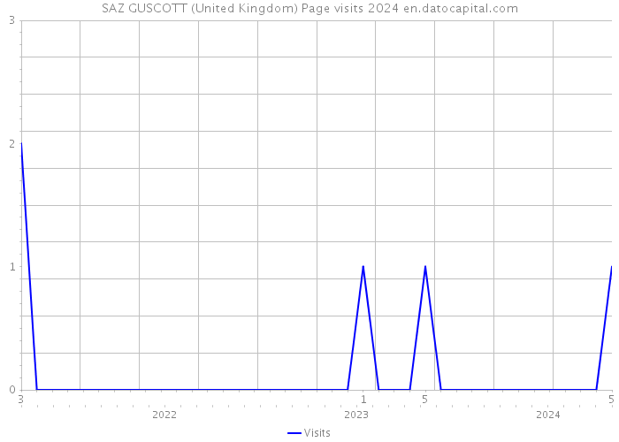 SAZ GUSCOTT (United Kingdom) Page visits 2024 