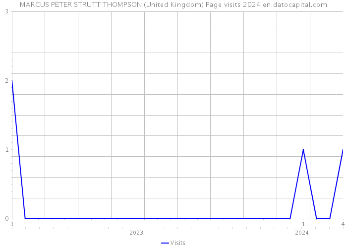 MARCUS PETER STRUTT THOMPSON (United Kingdom) Page visits 2024 