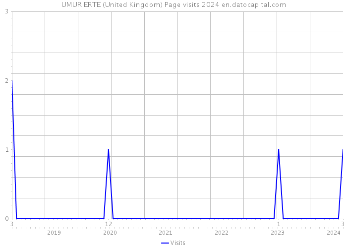 UMUR ERTE (United Kingdom) Page visits 2024 