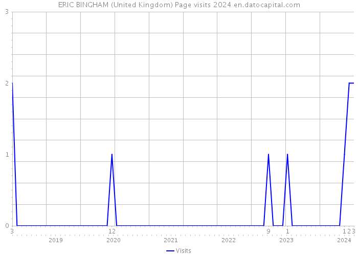 ERIC BINGHAM (United Kingdom) Page visits 2024 