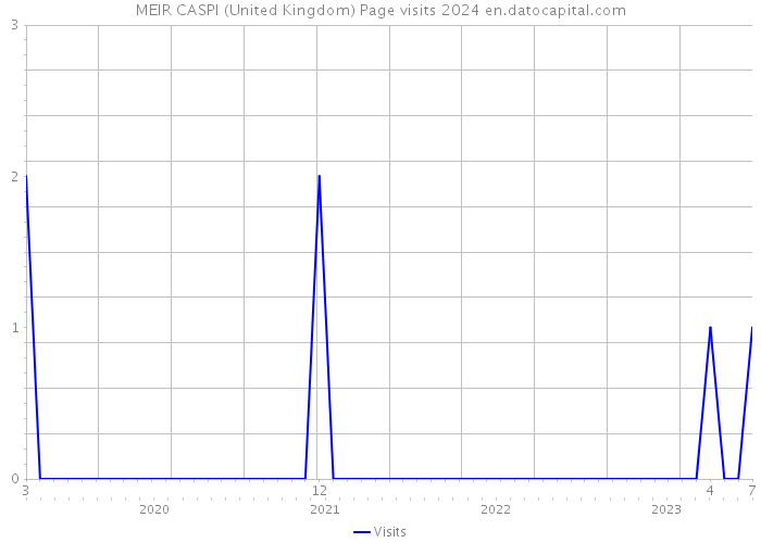 MEIR CASPI (United Kingdom) Page visits 2024 