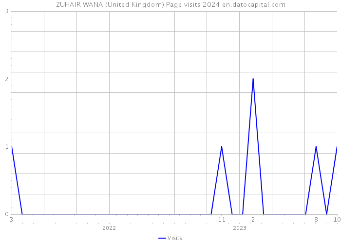 ZUHAIR WANA (United Kingdom) Page visits 2024 