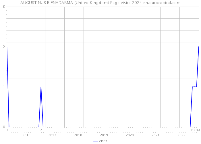 AUGUSTINUS BIENADARMA (United Kingdom) Page visits 2024 