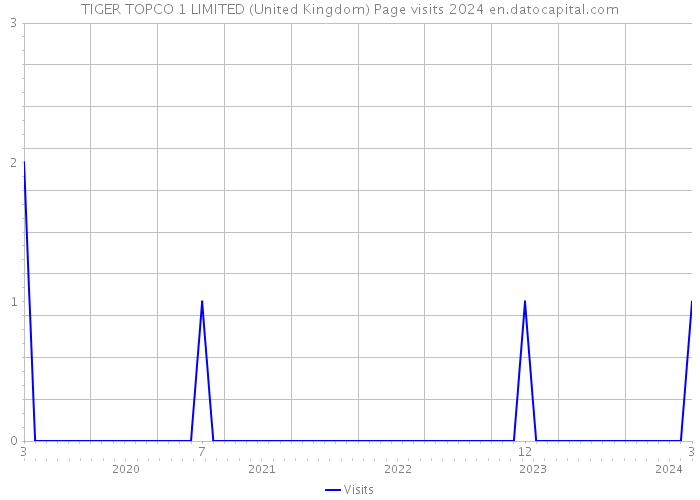 TIGER TOPCO 1 LIMITED (United Kingdom) Page visits 2024 