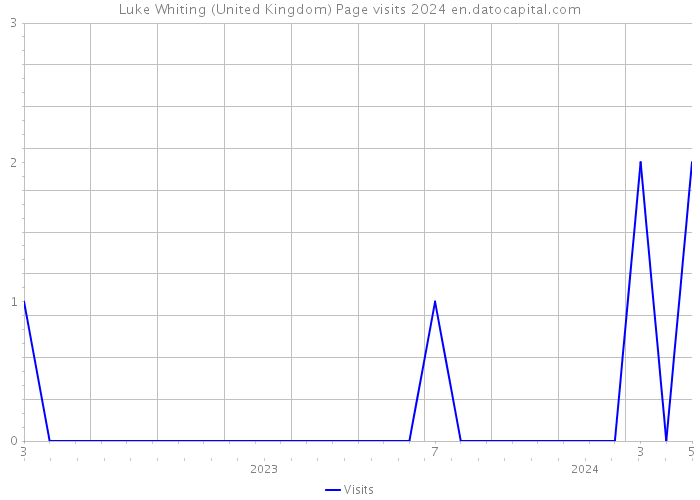 Luke Whiting (United Kingdom) Page visits 2024 