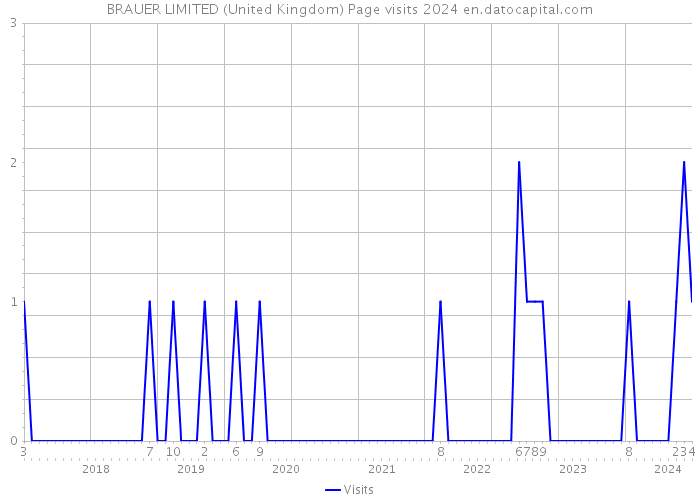 BRAUER LIMITED (United Kingdom) Page visits 2024 