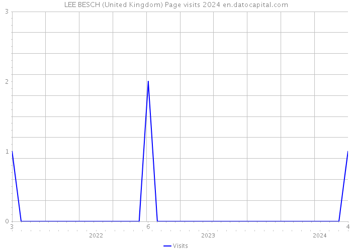 LEE BESCH (United Kingdom) Page visits 2024 
