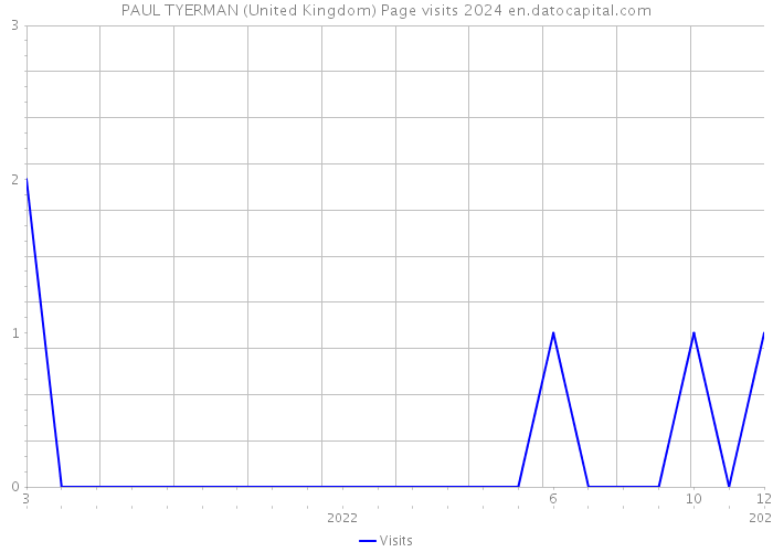 PAUL TYERMAN (United Kingdom) Page visits 2024 