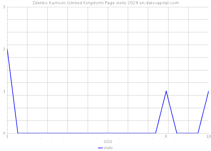 Zdenko Kurtovic (United Kingdom) Page visits 2024 