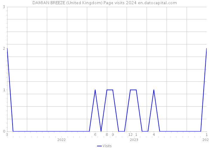 DAMIAN BREEZE (United Kingdom) Page visits 2024 