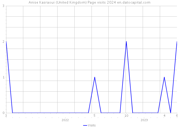 Anise Kasraoui (United Kingdom) Page visits 2024 