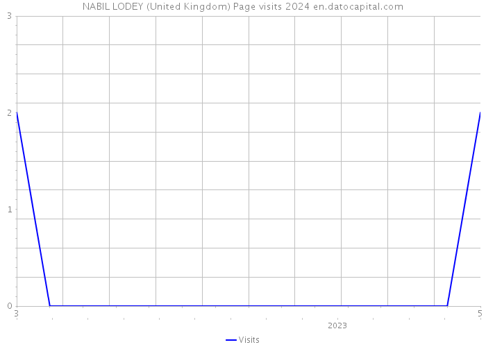 NABIL LODEY (United Kingdom) Page visits 2024 