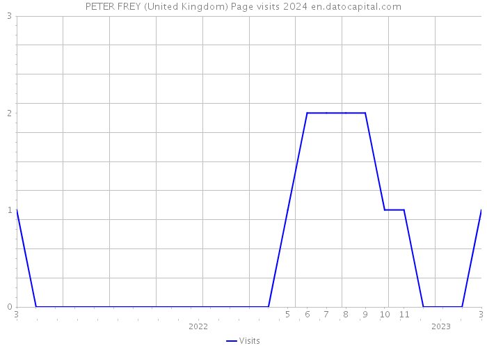 PETER FREY (United Kingdom) Page visits 2024 