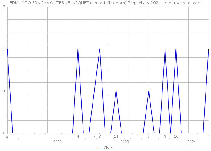 EDMUNDO BRACAMONTES VELAZQUEZ (United Kingdom) Page visits 2024 